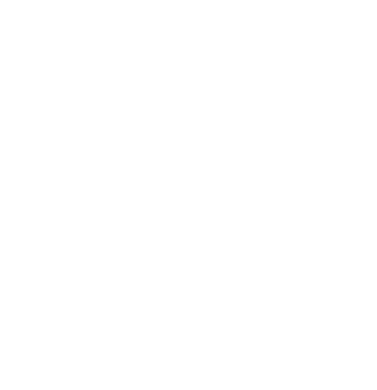 SIDELINK Logo